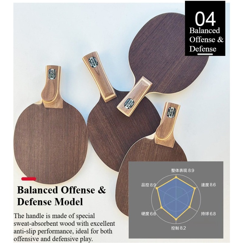 Chinese/Japanese Penhold Table - Table Tennis Paddle reseña y precio