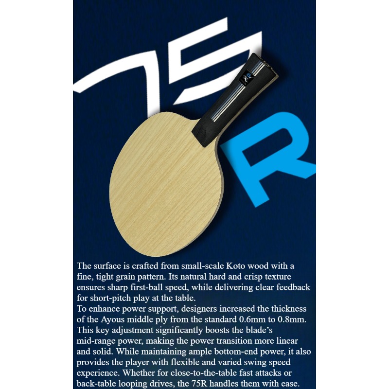 SANWEI 75R 5+2 Outer H-GLC Tab - Table Tennis Paddle reseña y precio