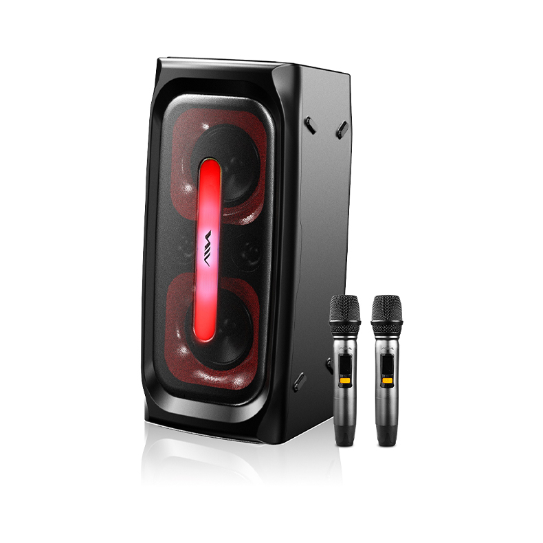 SS-X300DSP PRO High Quality Sp - Sports Equipment Japan reseña y precio